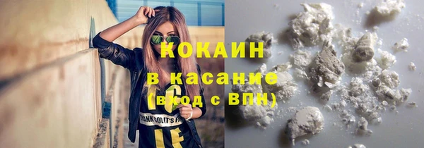 дмт Мегион
