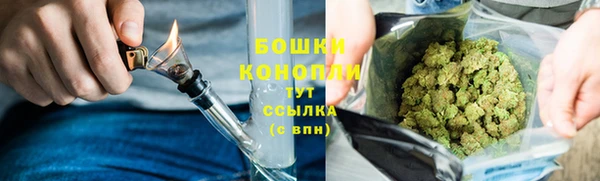 дмт Мегион