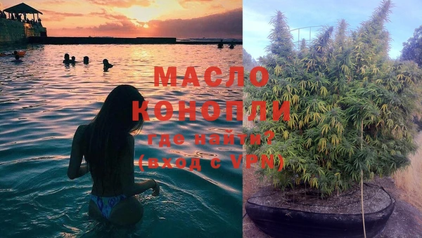дмт Мегион