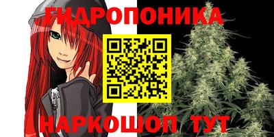 a pvp Ирбит