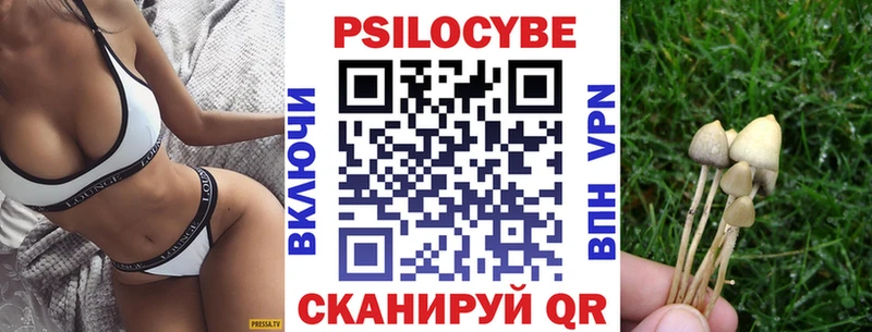 KRAKEN ССЫЛКА  Вологда  Галлюциногенные грибы Psilocybe 